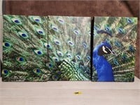 3 Panel Peacock Canvas Print