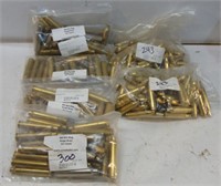 Ammo - Empty Casings in Bag