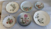 6 assorted floral plates