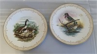 2 Bird Themed Plates