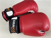 Drako Vinyl Boxing Gloves