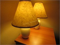 Pair of Nightstand Vanity Lamps