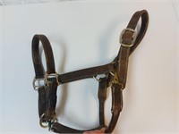 Leather Halter Horse Size?