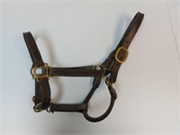 Leather Halter Horse Size?