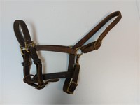 Leather Halter Horse or Warmblood Size?