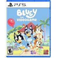 Bluey: The Videogame, PlayStation 5
