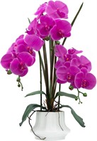 CXGS Artificial Orchid 20.9' in Ceramic Vase