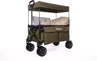 Folding Wagon with Removable Canopy