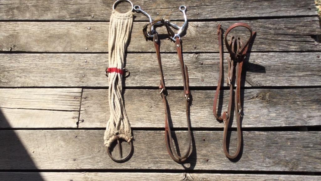 (2) BRIDLES & CINCH