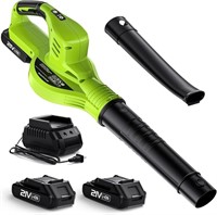 Cordless Electric Leaf Blower with 2 Batteries