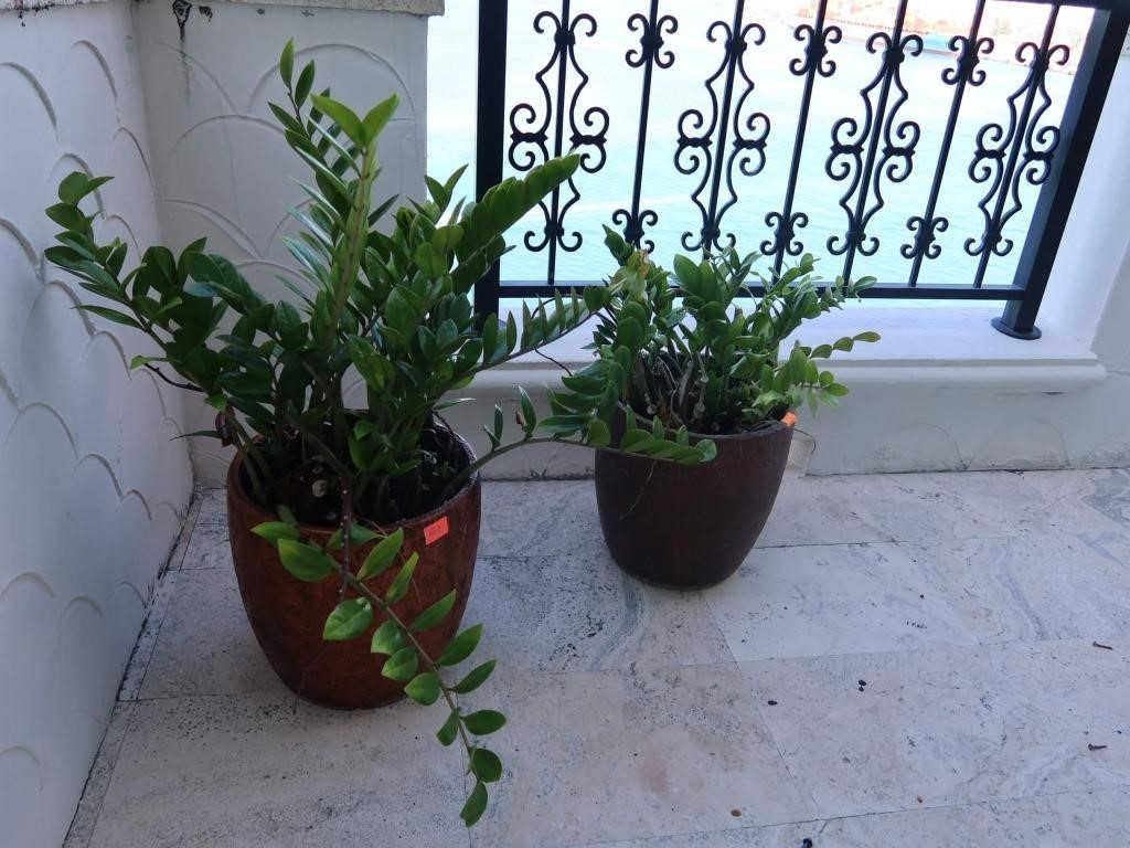 Pair of Composite Planters With  Plants