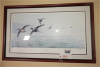 “Old Squaw Flyby” S/N Ducks Unlimited Print