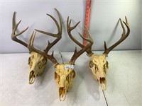 European Style Mounts