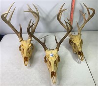 European Style Mounts