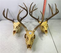 European Style Mounts