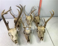 European Style Mounts