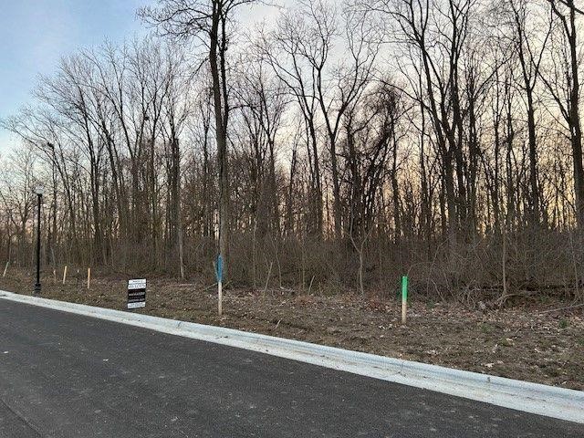 ONLINE ONLY REAL ESTATE AUCTION  SLEEPY HOLLOW SUBDIVISION