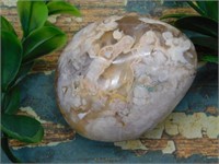 HATMANS FLOWER PETAL AGATE ROCK STONE LAPIDARY SPE