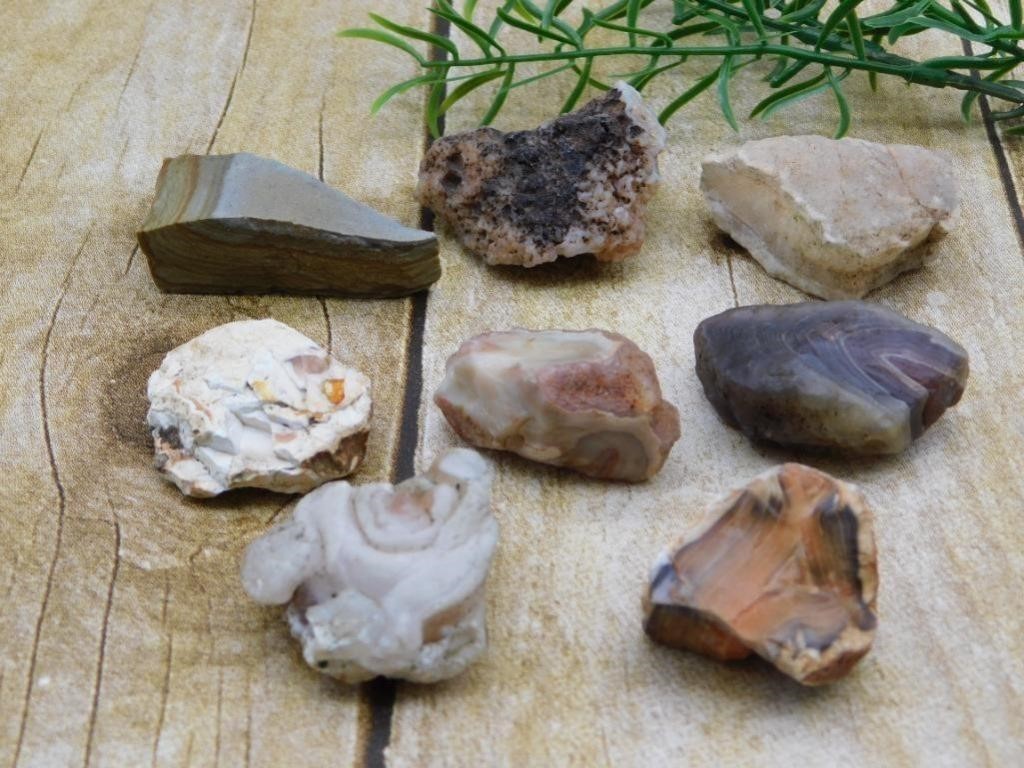 ROUGH ROCK, CRYSTALS, STONE SCULPTURES, JEWELRY, RARE FOSSIL