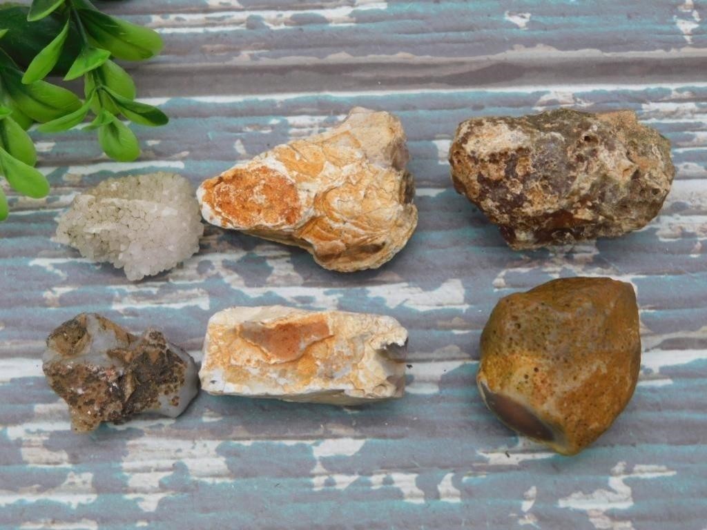 ROUGH ROCK, CRYSTALS, STONE SCULPTURES, JEWELRY, RARE FOSSIL