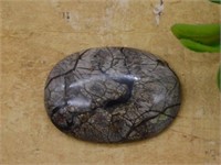 CABOCHON ROCK STONE LAPIDARY SPECIMEN