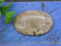 FOSSILIZED CORAL CABOCHON ROCK STONE LAPIDARY SPEC