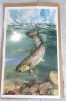 Wildlife Print Limeted Edition #61 of 250 Fish