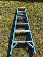 Werner 6ft Stepladder