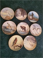Decorative Bird Plates