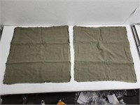 2pcs 20x20 Green Linen Like Material Pillow Cases