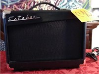 K - ESTEBAN MODEL G-10 GUITAR AMPLIFIER (C10)