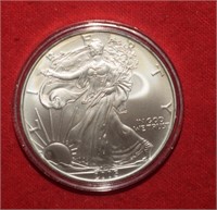 2006 American Silver Eagle in Case