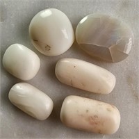 27.85 Ct White Coral & Opal Gemstones Lot of 7 Pcs