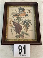 Black-Cat Chickadee Botanical Print (Arthur
