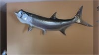 Mounted tarpon 
Approximately 67 inches long
