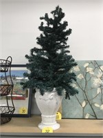 Mini Christmas Tree in Planter