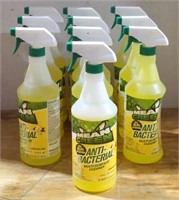 Mean Green Anti-Bacterial Multi Surface Cleaner