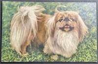 Vintage Pekingese Lithograph PPC