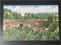 Vintage Old Kentucky Natural Bridge Postcard