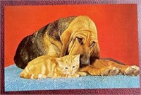 Vintage "Friends" RPPC Postcard