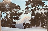 Vintage Early Evening Wornerspitze Postcard RPPC