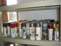Spray Paint - contents of shelf