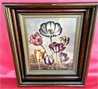 Shadow Box Style Framed Flower Print Under Glass