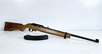 Ruger Model 10/22 rifle
