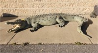 Composite Alligator,