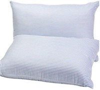 Pillows Set of 2 in Blue and White