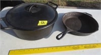 2 Lodge cast iron pans