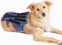 Coodeo Dog Back Brace for Arthritis (XXL)