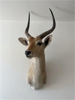 Impala Antelope Shoulder Mount