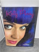 Katy Perry book